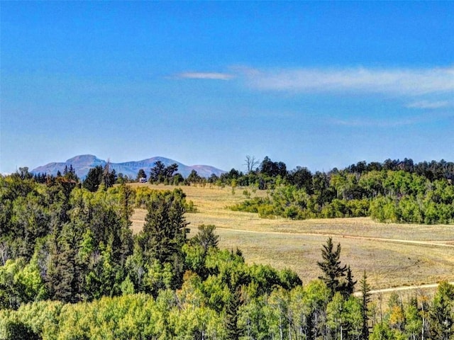 900 Remington Rd, Como, CO 80432