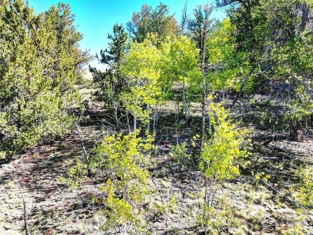 900 Remington Rd, Como, CO 80432