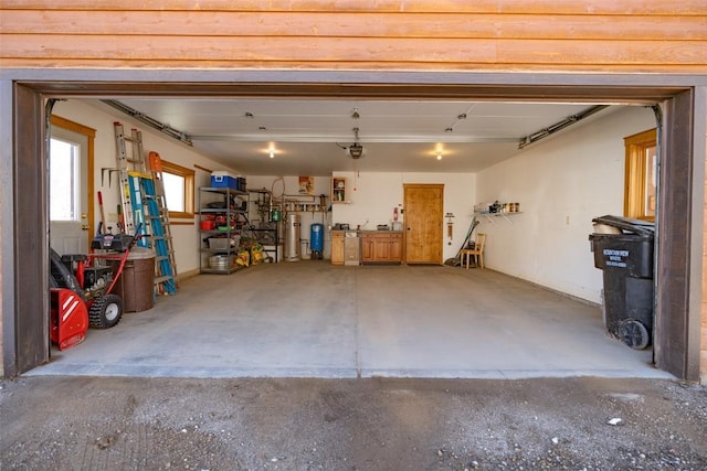 188 June Grass Ct, Fairplay, CO 80440 - garage with a garage door opener