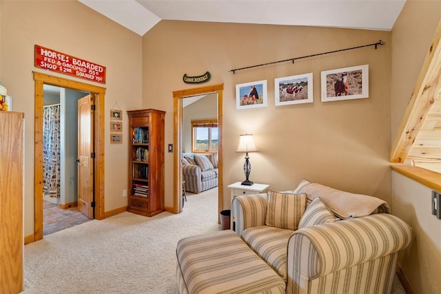 188 June Grass Ct, Fairplay, CO 80440 - living area with vaulted ceiling and carpet floors