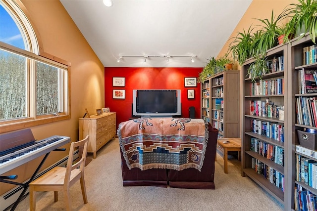 188 June Grass Ct, Fairplay, CO 80440 - carpeted living room with track lighting and vaulted ceiling