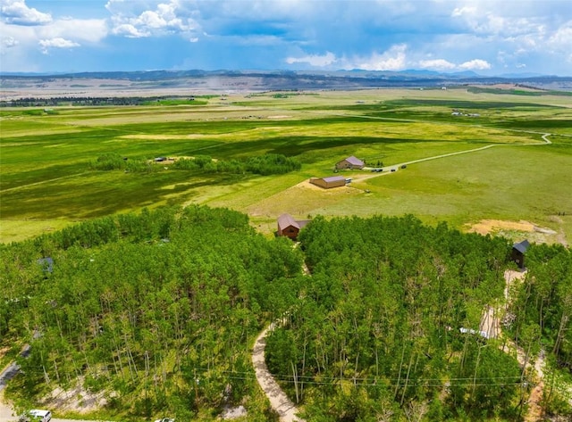 188 June Grass Ct, Fairplay, CO 80440 - overview of rural landscape