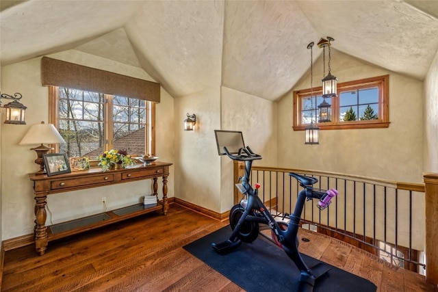 32855 More Ln, Steamboat Springs, CO 80487 - workout room featuring wood-type flooring, lofted ceiling, plenty of natural light, and baseboards