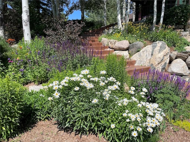 32855 More Ln, Steamboat Springs, CO 80487 - view of yard