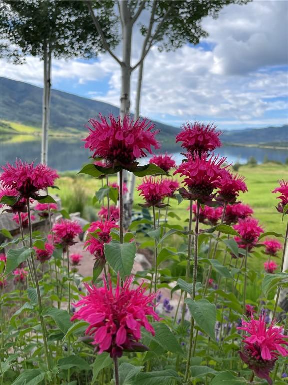 32855 More Ln, Steamboat Springs, CO 80487 - balcony with a water view