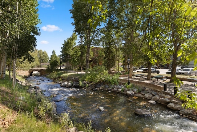 100 S Park Ave Unit E321, Breckenridge, CO 80424 - view of community