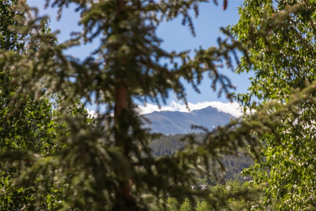 100 S Park Ave Unit E321, Breckenridge, CO 80424 - mountain view