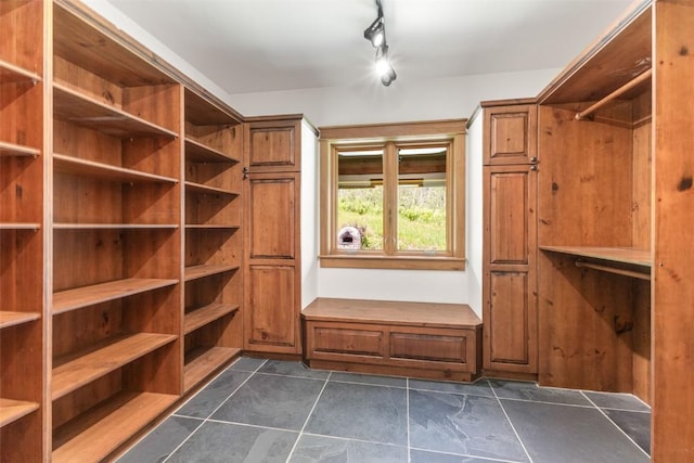 31820 Bradley Rnch, Steamboat Springs, CO 80487 - walk in closet with dark tile patterned floors