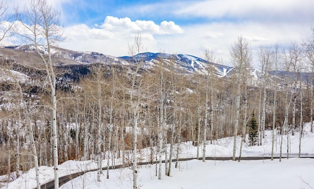 31820 Bradley Rnch, Steamboat Springs, CO 80487 - photo 11