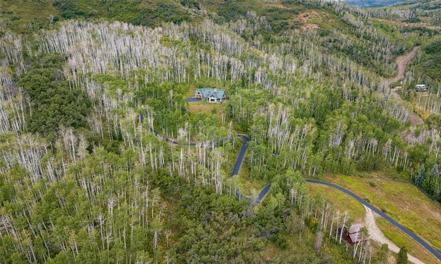 31820 Bradley Rnch, Steamboat Springs, CO 80487 - mountain view with a heavily wooded area