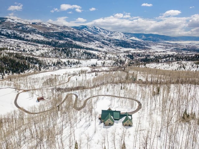 31820 Bradley Rnch, Steamboat Springs, CO 80487 - photo 37