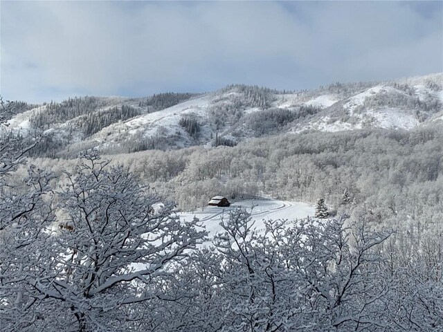 31820 Bradley Rnch, Steamboat Springs, CO 80487 - drone / aerial view of a forest and mountains