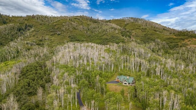 31820 Bradley Rnch, Steamboat Springs, CO 80487 - view of barn with a mountain view