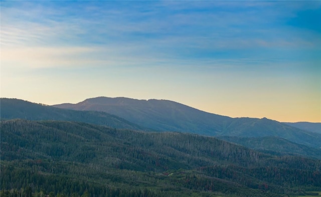31820 Bradley Rnch, Steamboat Springs, CO 80487 - photo 5