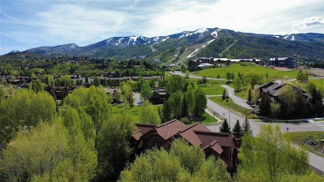 2035 Steamboat Blvd, Steamboat Springs, CO 80487 - photo 5