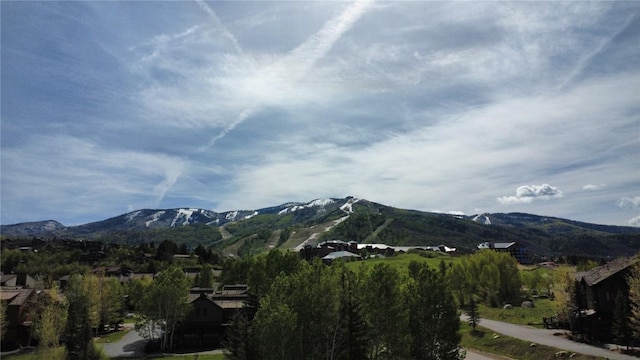 2035 Steamboat Blvd, Steamboat Springs, CO 80487 - photo 6
