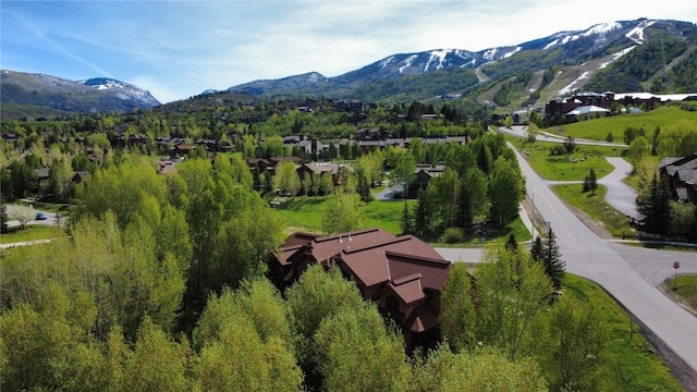 2035 Steamboat Blvd, Steamboat Springs, CO 80487 - photo 4