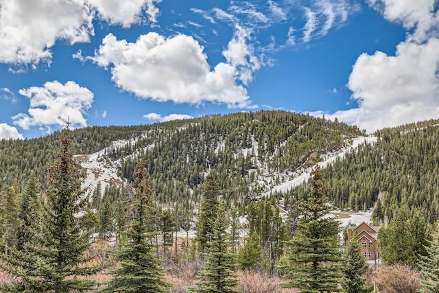 22714 US Highway 6 Unit 5945, Keystone, CO 80435 - view of mountain backdrop with a forest
