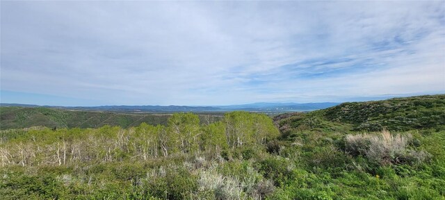TBD Silverado Rd, Oak Creek, CO 80467