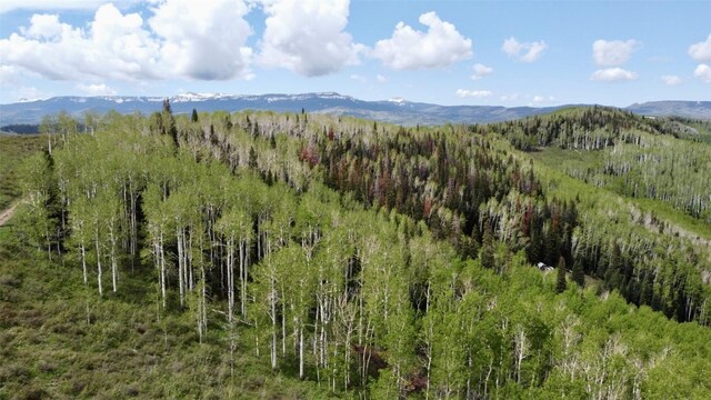 TBD Silverado Rd, Oak Creek, CO 80467