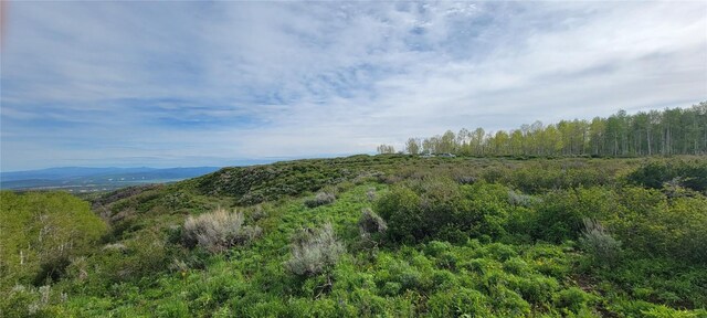TBD Silverado Rd, Oak Creek, CO 80467