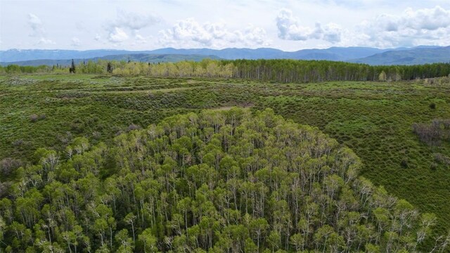 TBD Silverado Rd, Oak Creek, CO 80467