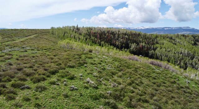 TBD Silverado Rd, Oak Creek, CO 80467