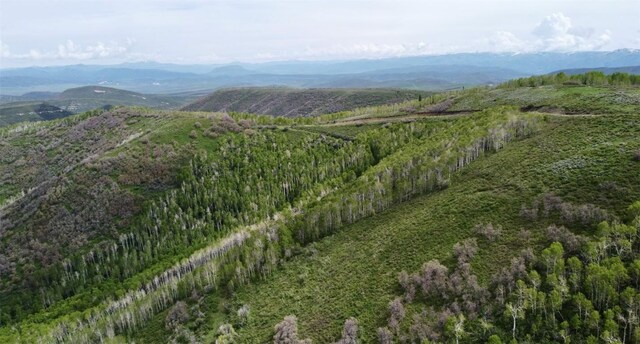 TBD Silverado Rd, Oak Creek, CO 80467