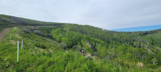 TBD Silverado Rd, Oak Creek, CO 80467