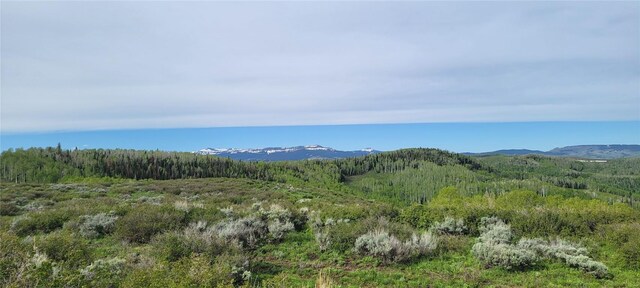 TBD Silverado Rd, Oak Creek, CO 80467