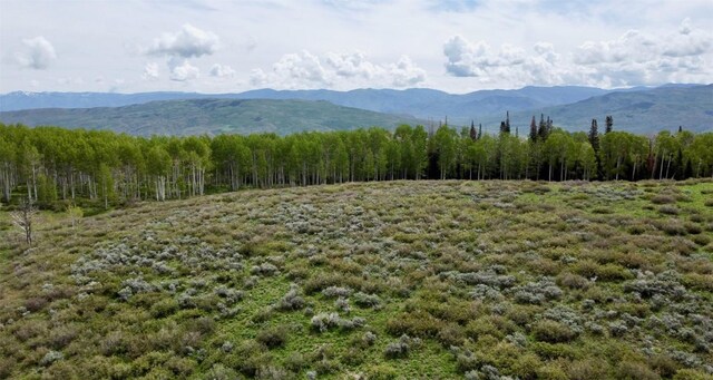 TBD Silverado Rd, Oak Creek, CO 80467