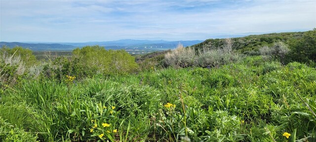 TBD Silverado Rd, Oak Creek, CO 80467