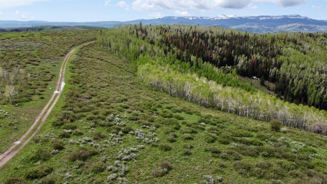 TBD Silverado Rd, Oak Creek, CO 80467