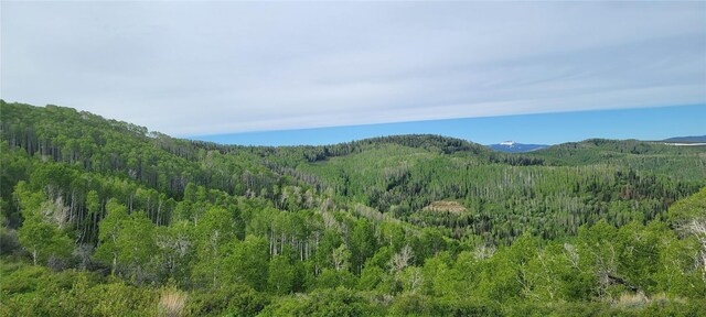 TBD Silverado Rd, Oak Creek, CO 80467