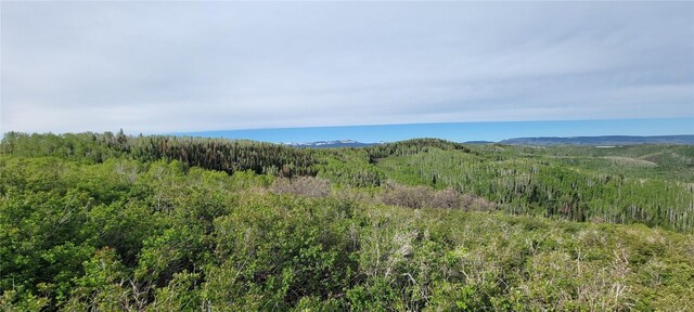 TBD Silverado Rd, Oak Creek, CO 80467