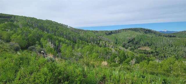 TBD Silverado Rd, Oak Creek, CO 80467