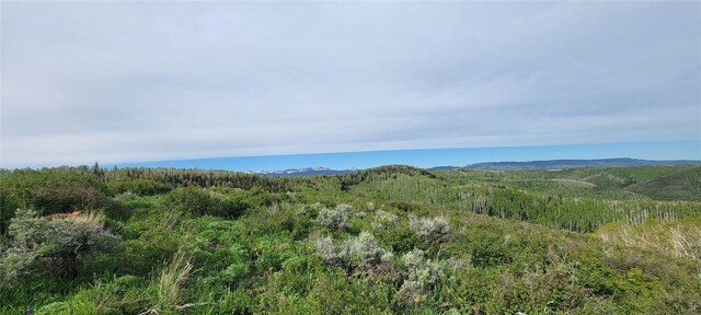 TBD Silverado Rd, Oak Creek, CO 80467