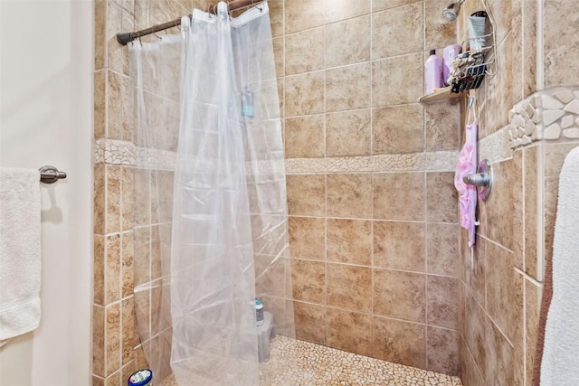 3692 County Road 7, Craig, CO 81625 - bathroom featuring a tile shower