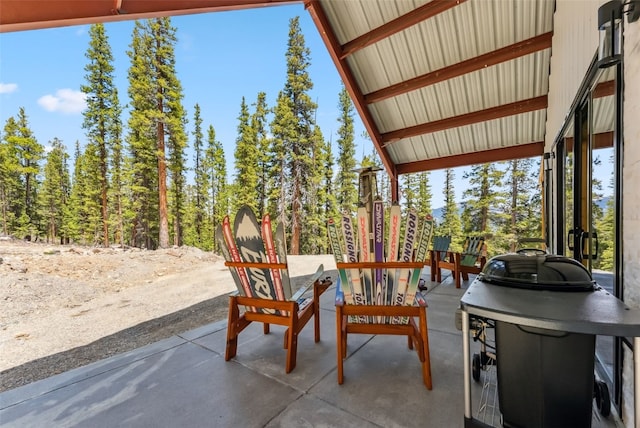 169 Puma Pl, Fairplay, CO 80440 - photo 23