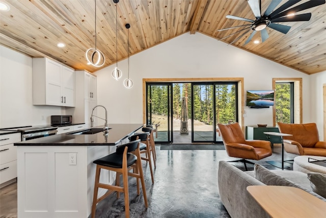 169 Puma Pl, Fairplay, CO 80440 - photo 5