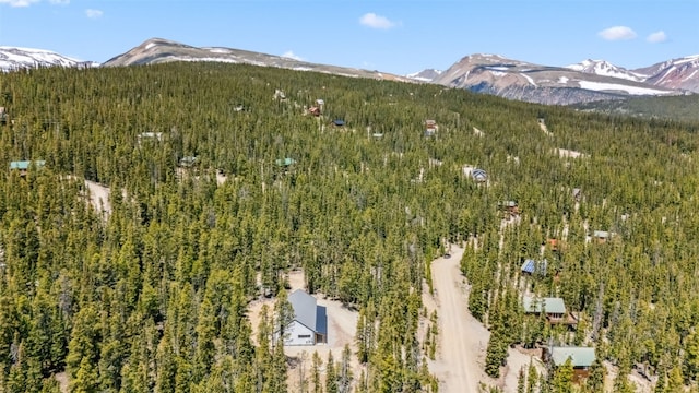 169 Puma Pl, Fairplay, CO 80440 - photo 32