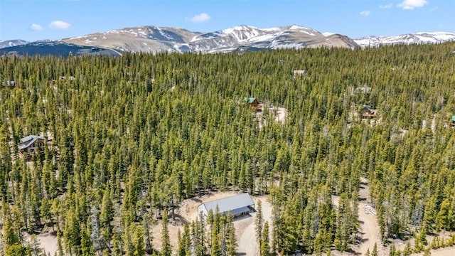 169 Puma Pl, Fairplay, CO 80440 - photo 30