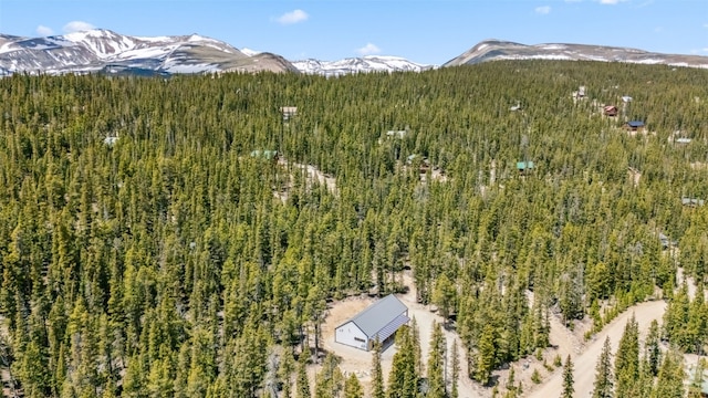 169 Puma Pl, Fairplay, CO 80440 - photo 1