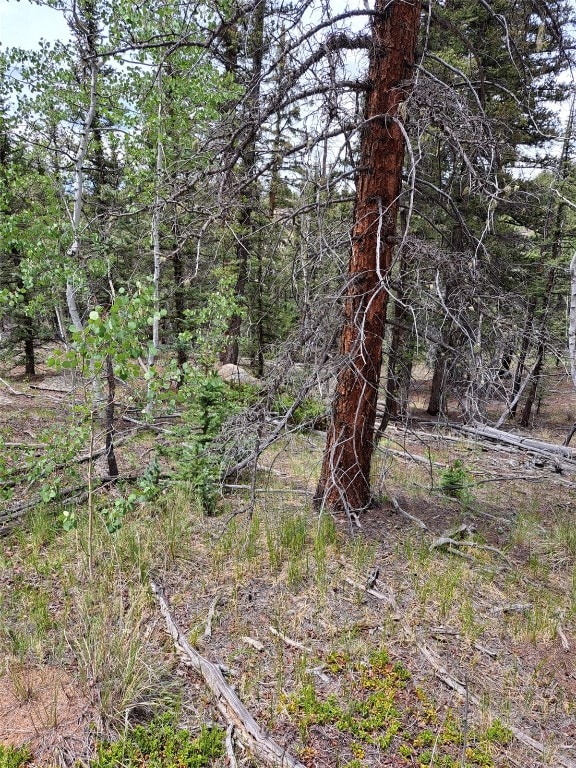 256 Bear Way, Como, CO 80432 - photo 5