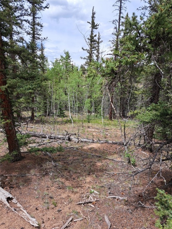 256 Bear Way, Como, CO 80432 - photo 13