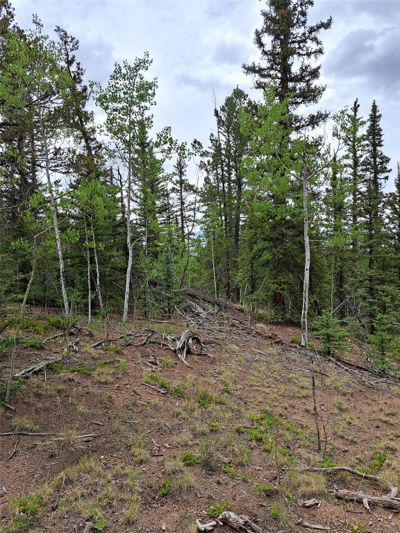 256 Bear Way, Como, CO 80432 - photo 3