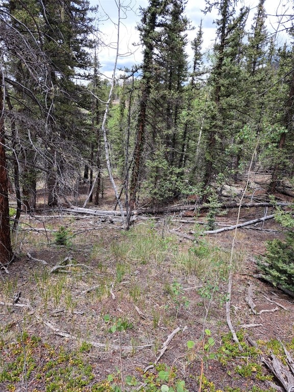 256 Bear Way, Como, CO 80432 - photo 2
