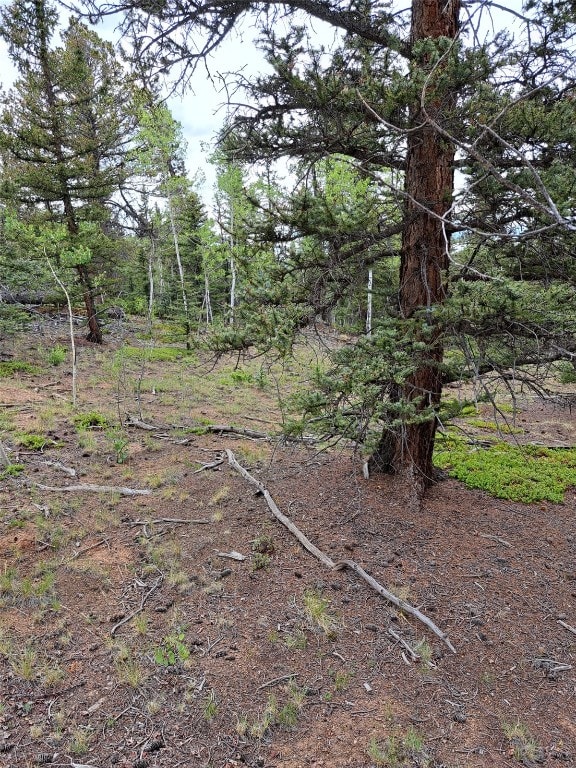 256 Bear Way, Como, CO 80432 - photo 6