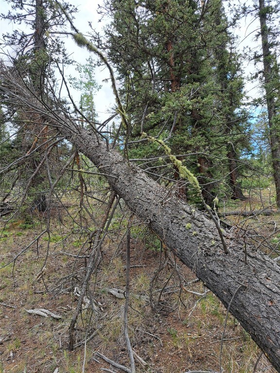256 Bear Way, Como, CO 80432 - photo 14
