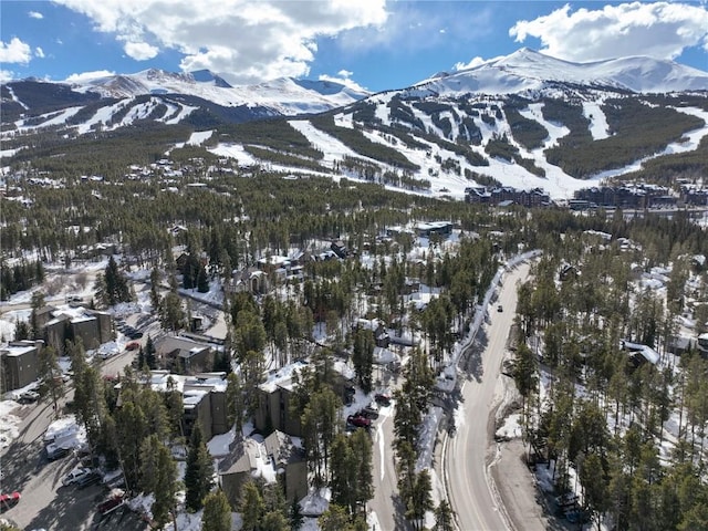 1173 Ski Hill Rd Unit 131, Breckenridge, CO 80424 - mountain view